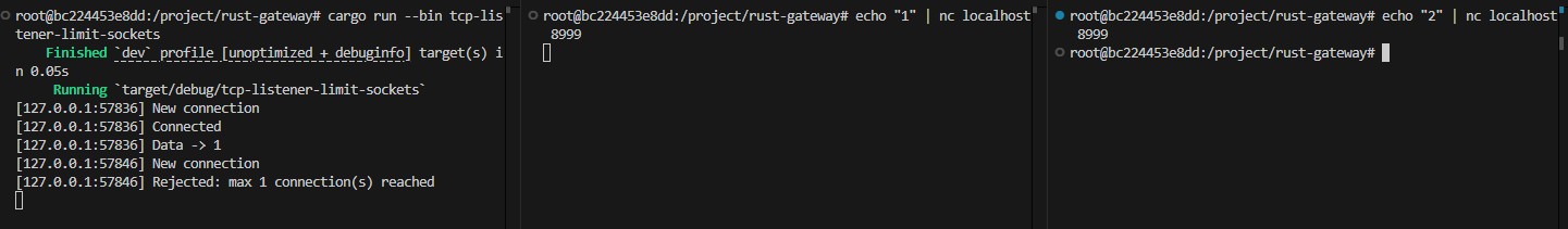 TCP Listener limit number sockets
